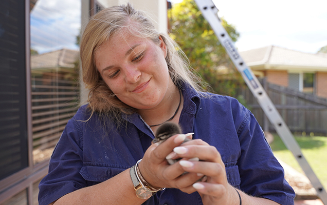 small duckling in hands